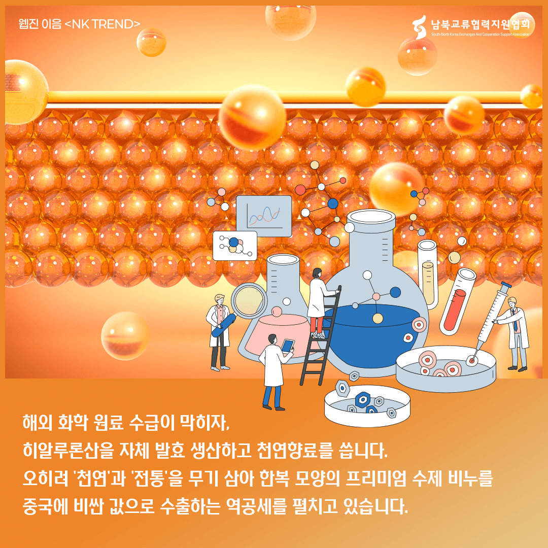 북한 화장품 트렌드 카드뉴스